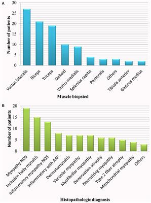 Muscle Biopsy and Electromyography Correlation